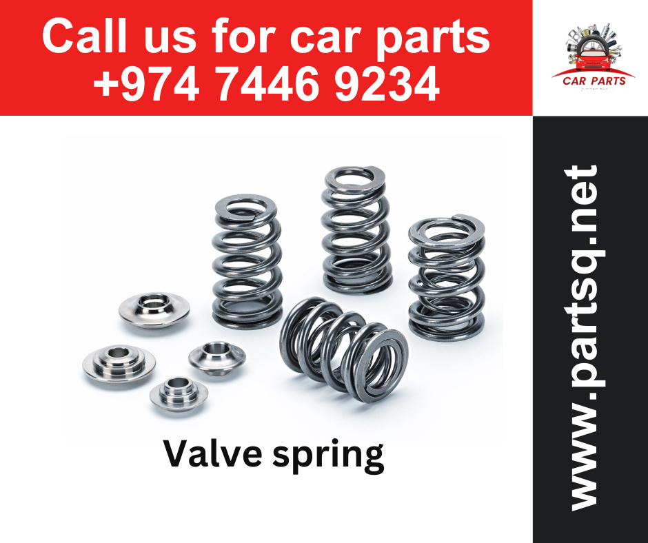 294.Valve spring